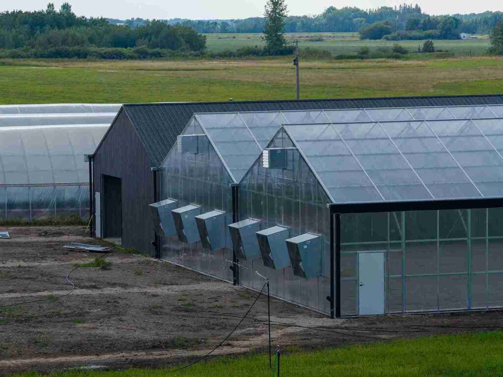 Klasens Greenhouse 1_11zon