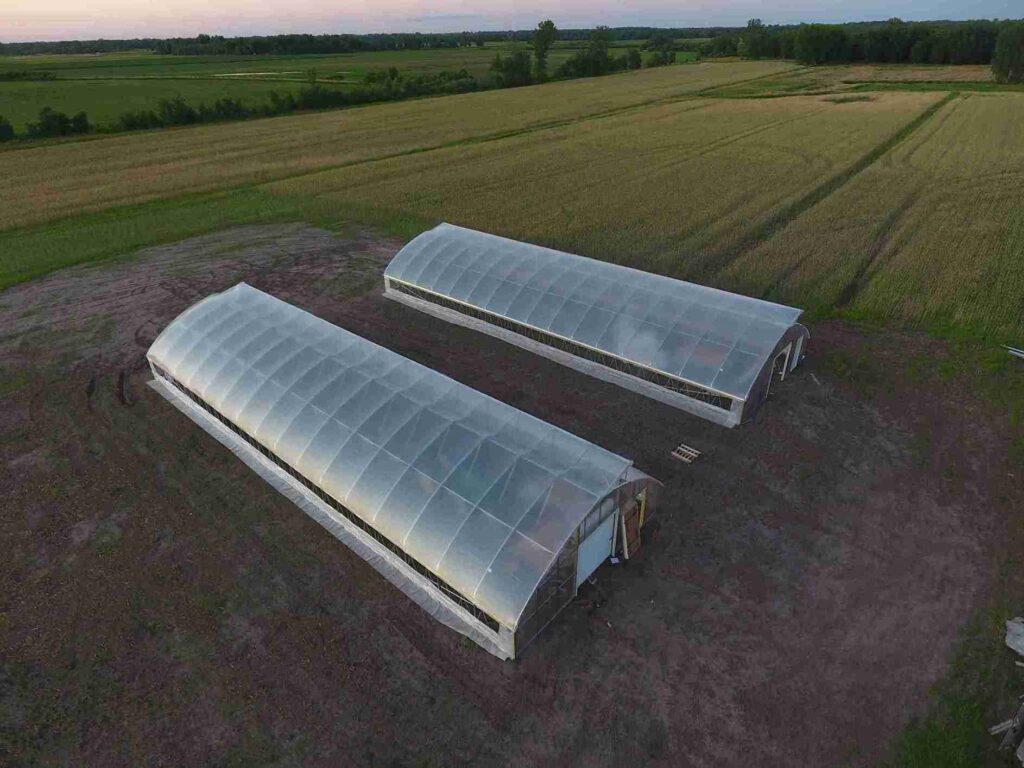 Phipho Farm 44_11zon